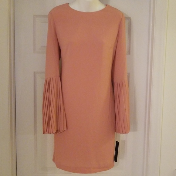 Maggy London Dresses & Skirts - NWT Romantic Pink Dress with Flowing Sleeves